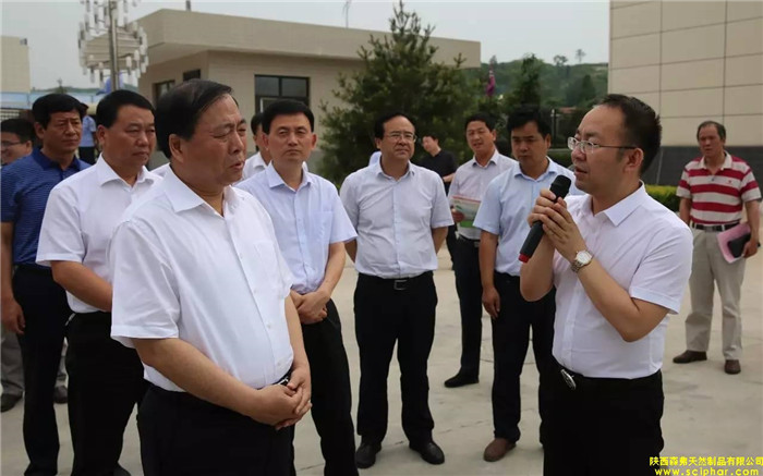 省委常委、省委統(tǒng)戰(zhàn)部部長(zhǎng)、副省長(zhǎng)姜鋒蒞臨森弗產(chǎn)業(yè)園調(diào)研大健康產(chǎn)業(yè)發(fā)展情況