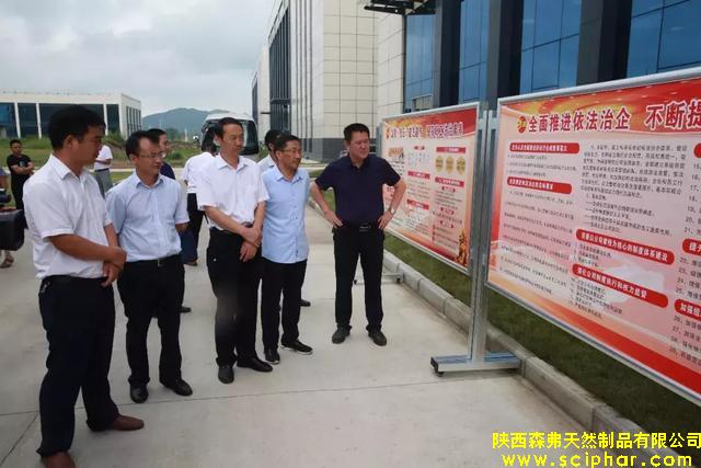 商洛市"七五”普法督察組調研森弗公司依法治企工作情況