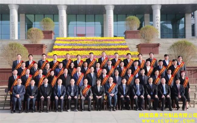 陜西森弗被評(píng)為“商洛市優(yōu)秀民營(yíng)企業(yè)”，董事長(zhǎng)金新康榮獲“商洛市優(yōu)秀民營(yíng)企業(yè)家”稱號(hào)